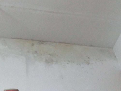 低樓層房屋墻壁出現(xiàn)返潮現(xiàn)象，有哪些解決辦法?